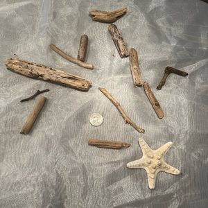 #F. Driftwood and ocean decor